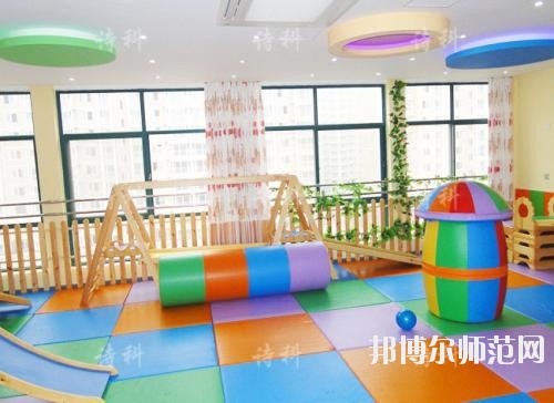 成都2020年大專(zhuān)幼師學(xué)校有哪些