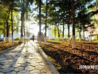 長春大學師范學院主校區(qū)2023年報名條件、招生要求、招生對象